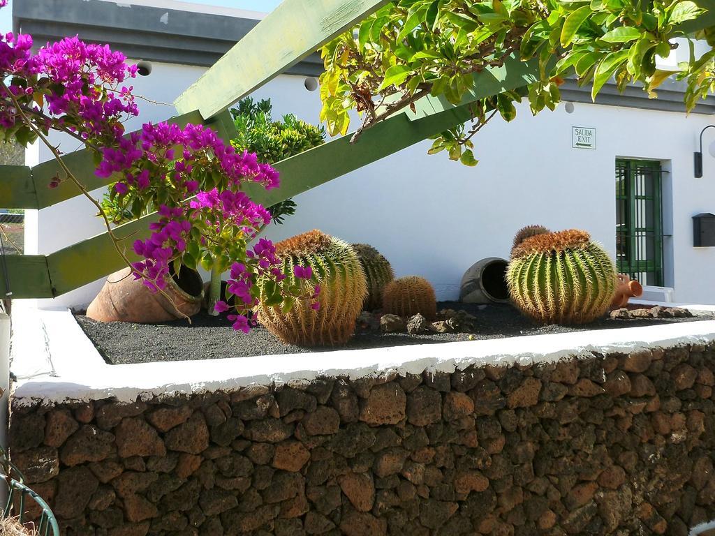 Apartamentos Guacimeta Matagorda  Exterior photo